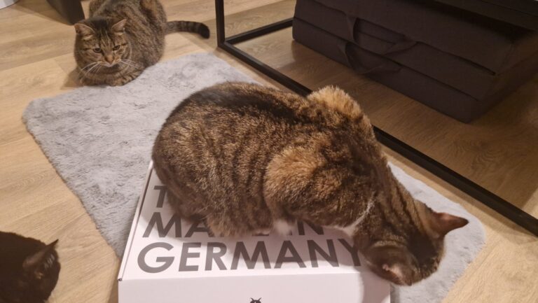 Hier entdecken drei Katzen Baldrian für sich