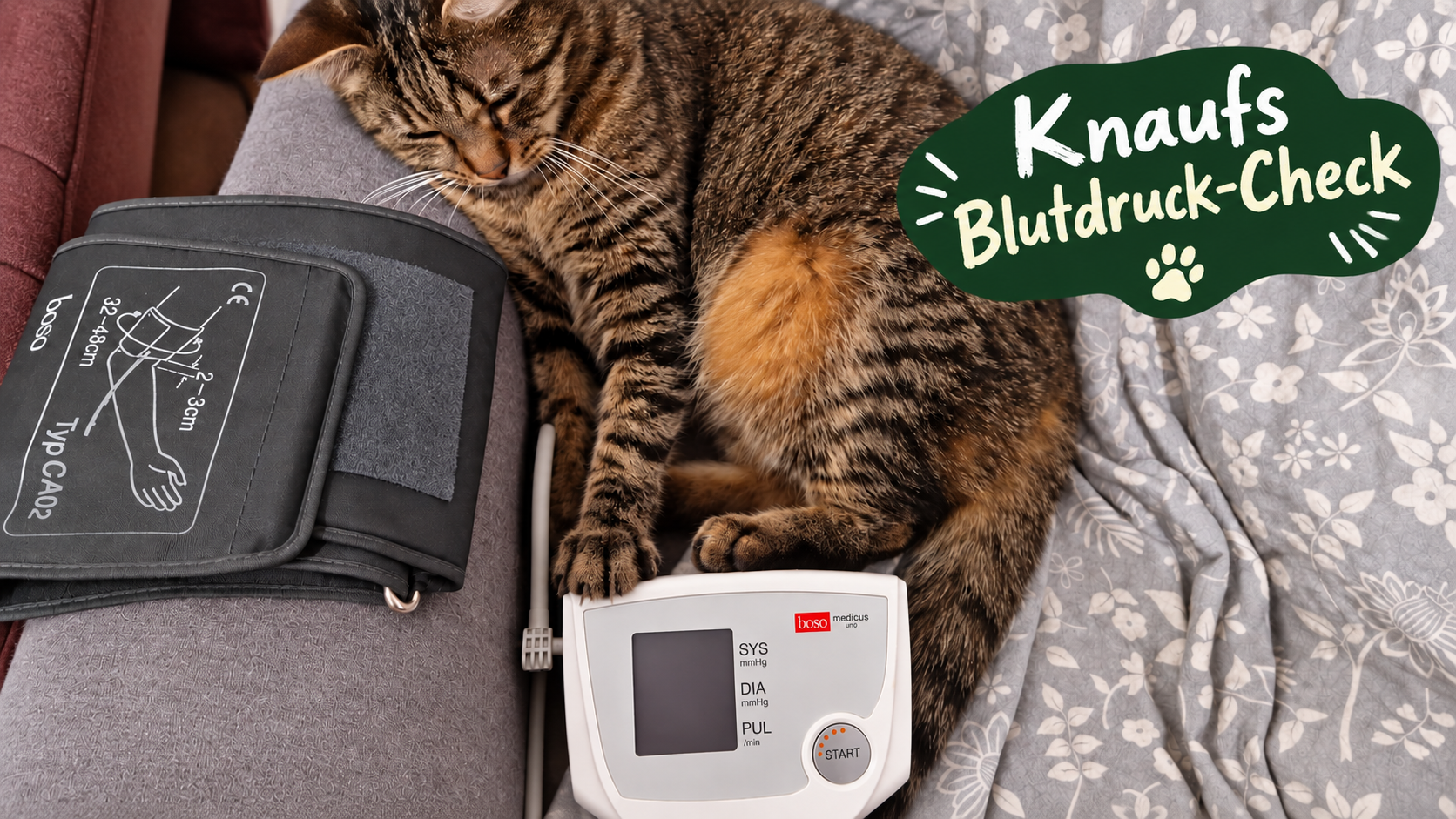 Boso Medicus Uno im Test: Einfach Blutdruck messen im Alltag