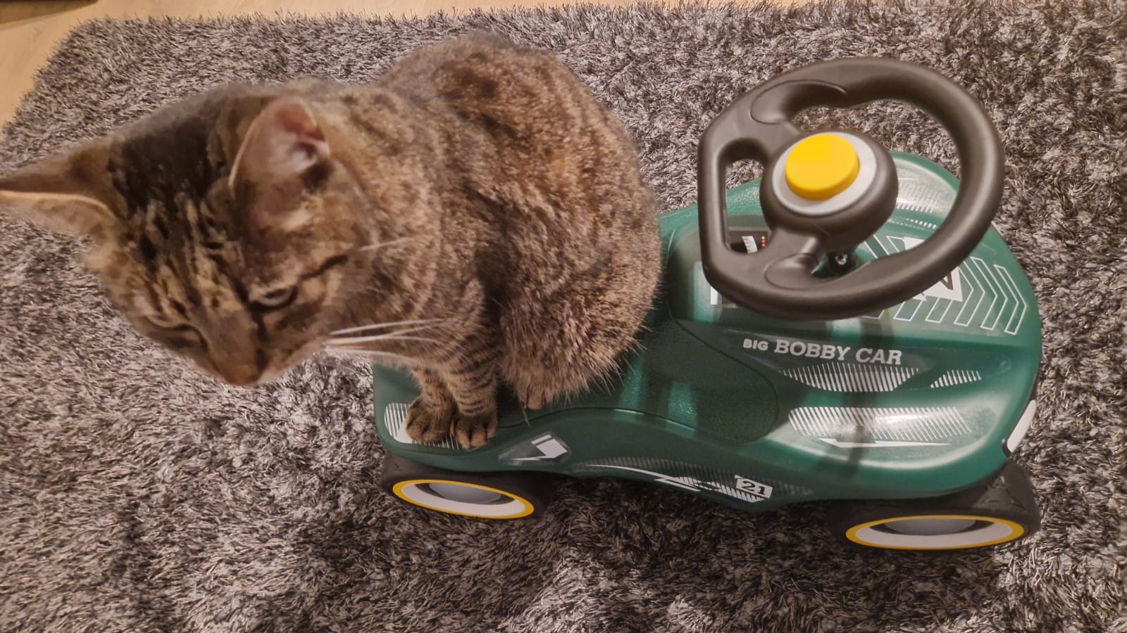 Kater Knauf testet das BIG Bobby Car Neo RS Grün