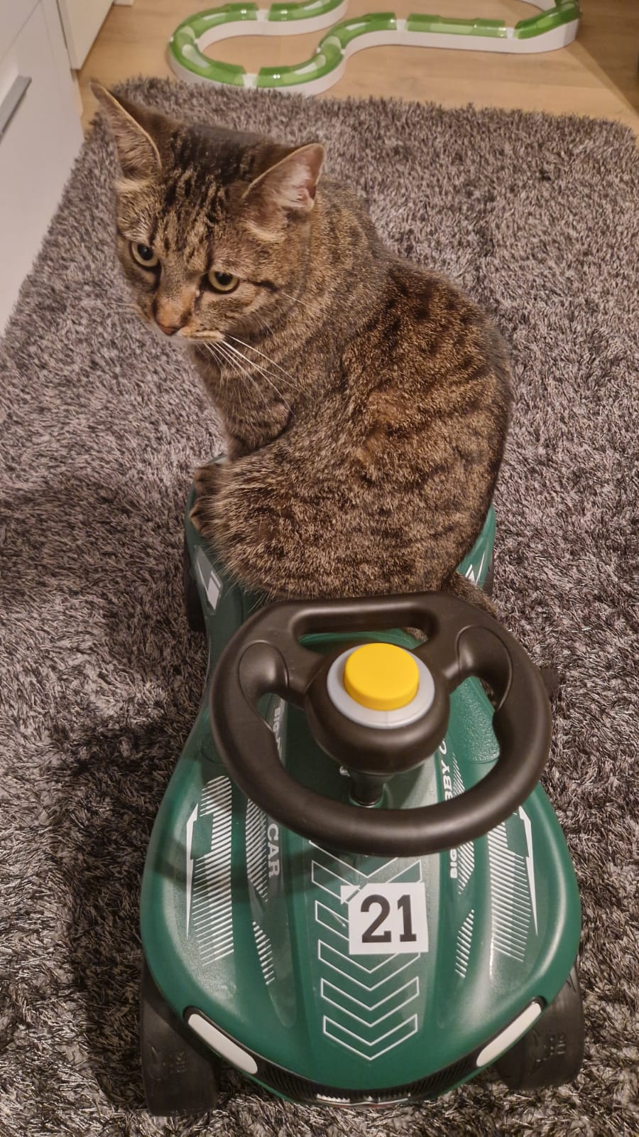 Kater Knauf sitzt am Lenkrad des BIG Bobby Car Neo RS Grün